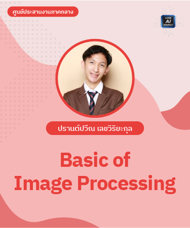 Basic of Image Processing IPR1011