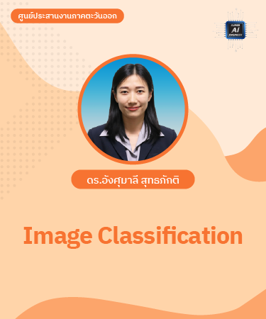 Image Classification IPR1016