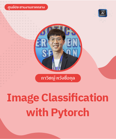 Image Classification with Pytorch IPR2012