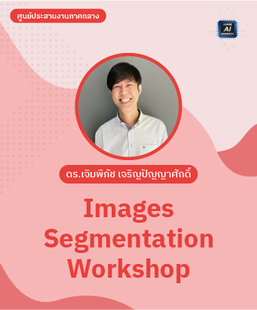 Images Segmentation Workshop IPR2017